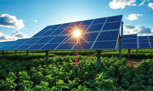 V1766 Terreno per agrifotovoltaico con autorizzazione all'inizio lavori